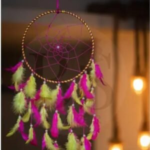 whatsapp image 2025 12 18 at 1.52.15 pm (1)