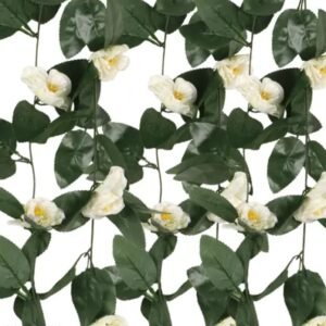 whatsapp image 2025 12 19 at 11.32.52 am (1)