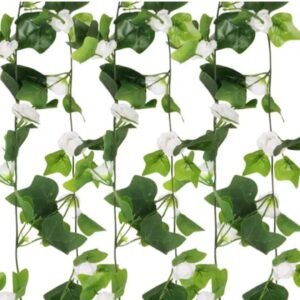 whatsapp image 2025 12 19 at 11.32.56 am