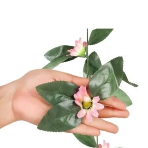 whatsapp image 2025 12 19 at 11.32.58 am (1)